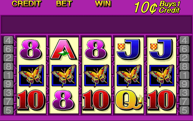 Butterfly Delight (0200143V, NSW/ACT)