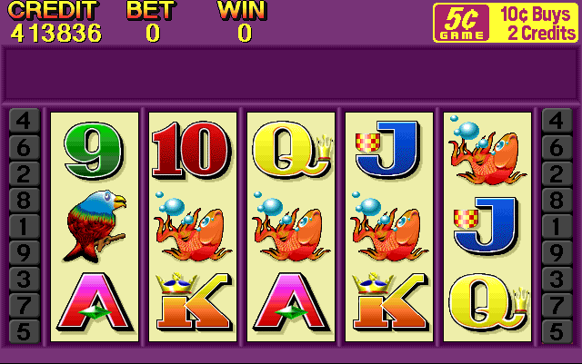 Cash Cat (0300863V, New Zealand)