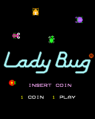 Lady Bug