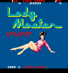 Lady Master of Kung Fu (set 1, newer)