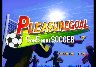 Pleasure Goal / Futsal - 5 on 5 Mini Soccer (NGM-219)